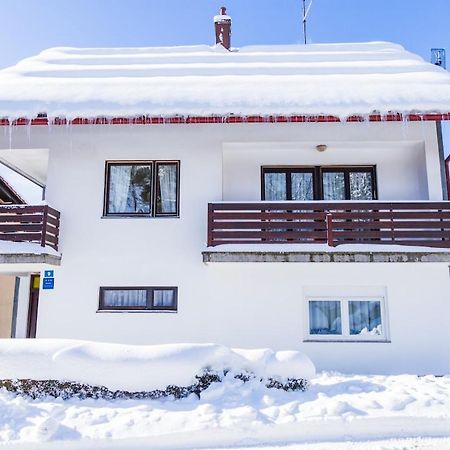 Apartman Japlenski デルニツェ エクステリア 写真