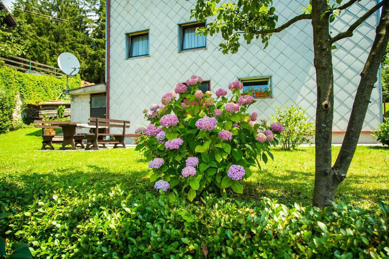 Apartman Japlenski デルニツェ エクステリア 写真